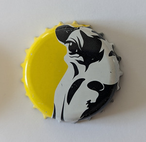 Vache jaune, 2025-08